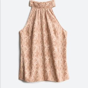 Gold ray Halter blouse